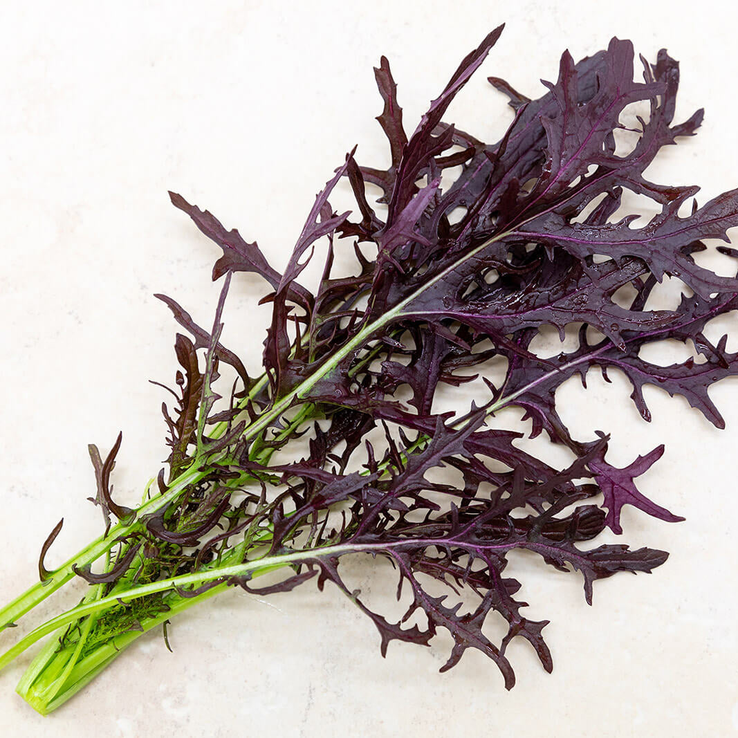 Mizuna Seeds – Lime Streaks