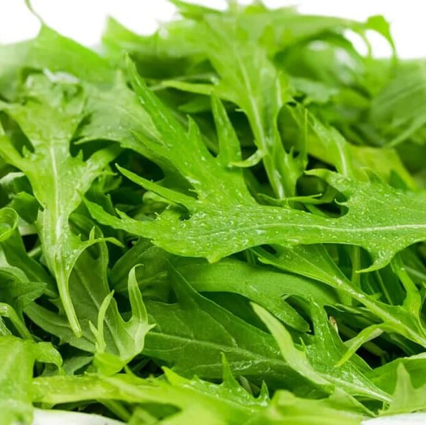 Mizuna Seeds – Green 