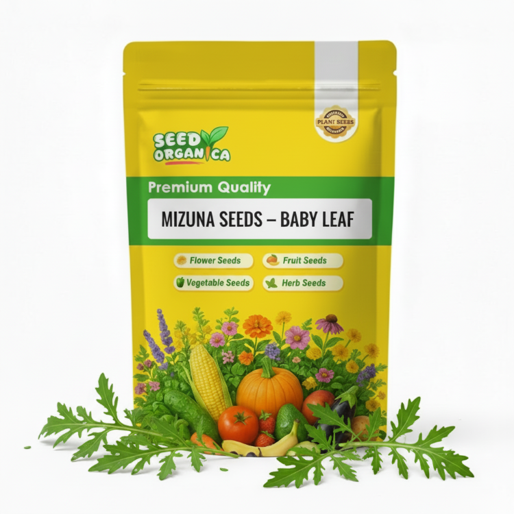 Mizuna Seeds – Baby Leaf