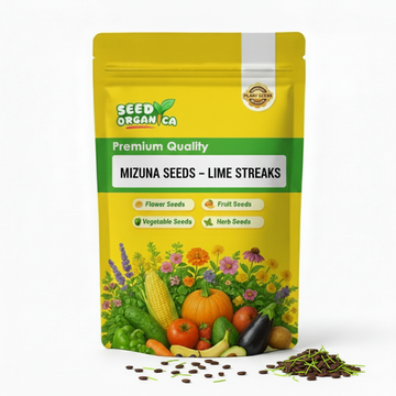 Mizuna Seeds – Lime Streaks
