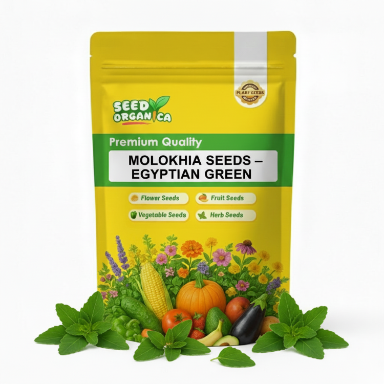 Molokhia Seeds – Egyptian Green