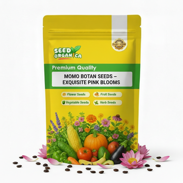 Momo Botan Seeds –  Exquisite Pink Blooms