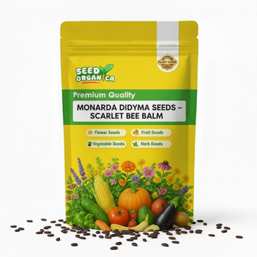 Monarda Didyma Seeds – Scarlet Bee Balm