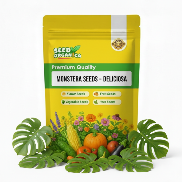 Monstera Seeds – Deliciosa