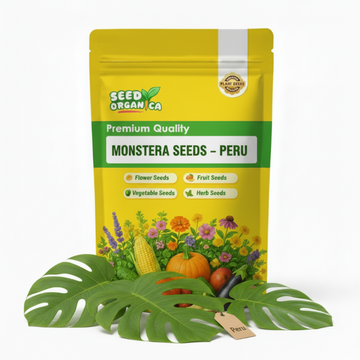 Monstera Seeds – Peru