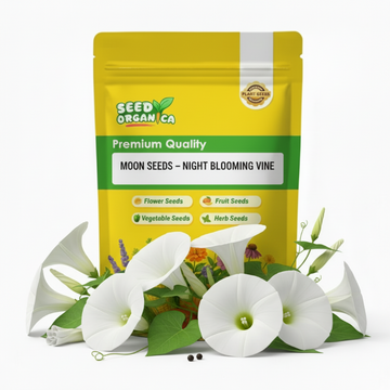 Moon Seeds – Night Blooming Vine