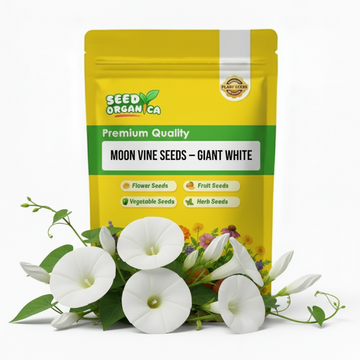 Moon Vine Seeds – Giant White
