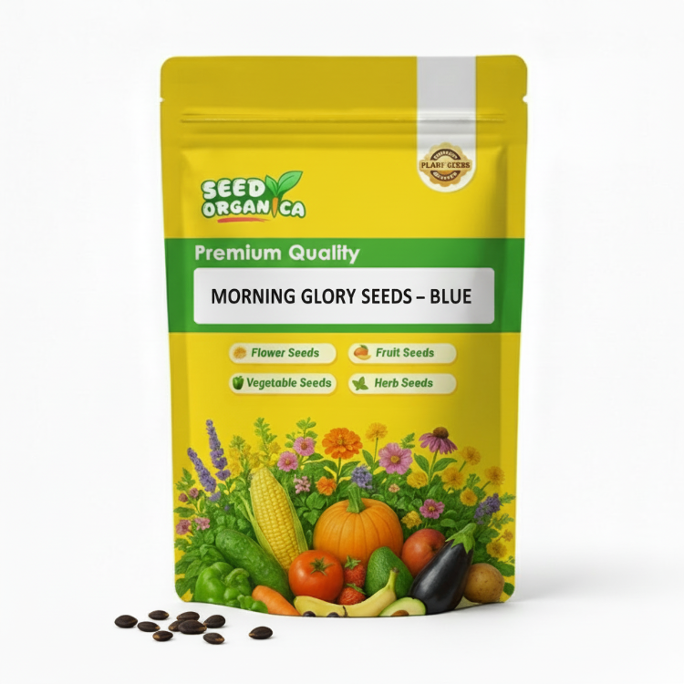 Morning Glory Seeds – Blue
