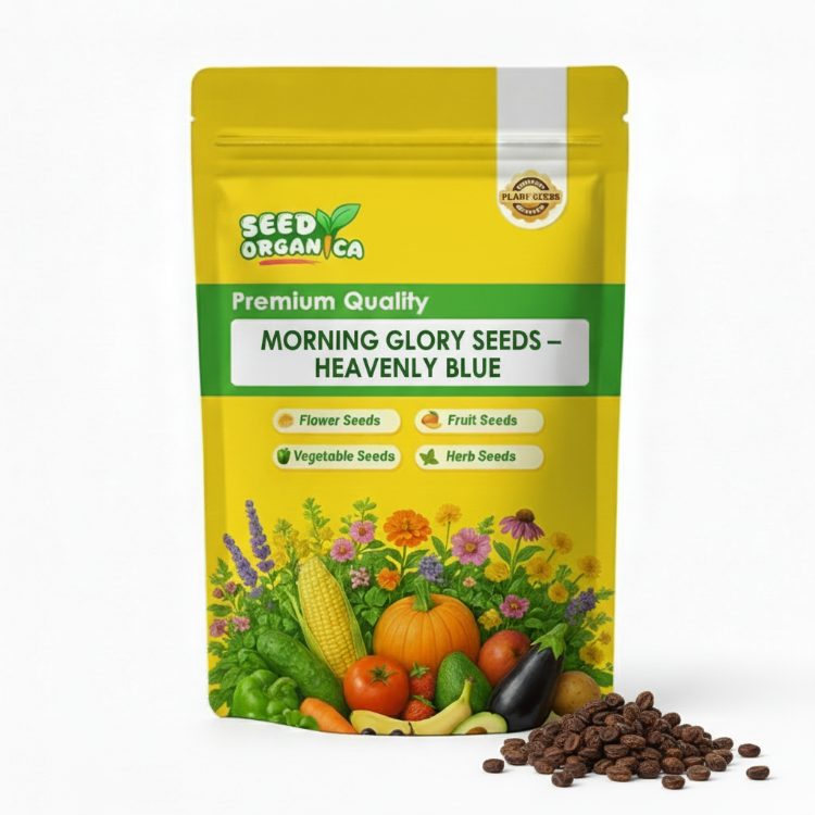 Morning Glory Seeds – Heavenly Blue