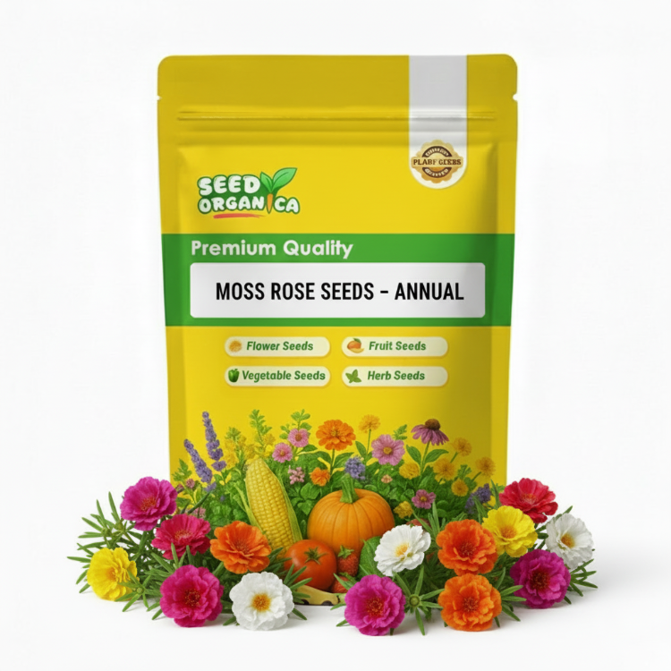 Moss Rose Seeds – Annual