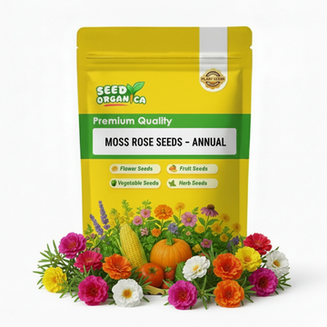 Moss Rose Seeds – Annual