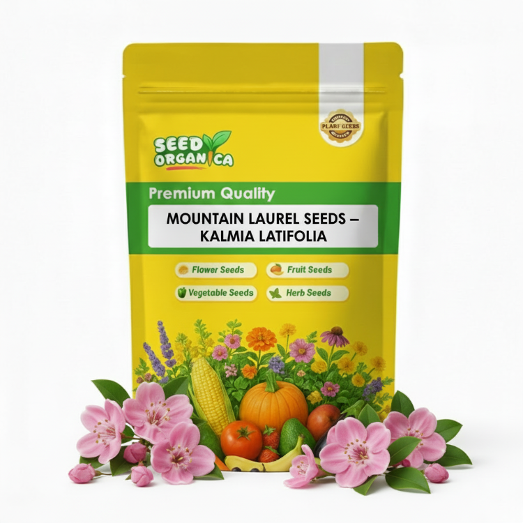 Mountain Laurel Seeds – Kalmia Latifolia