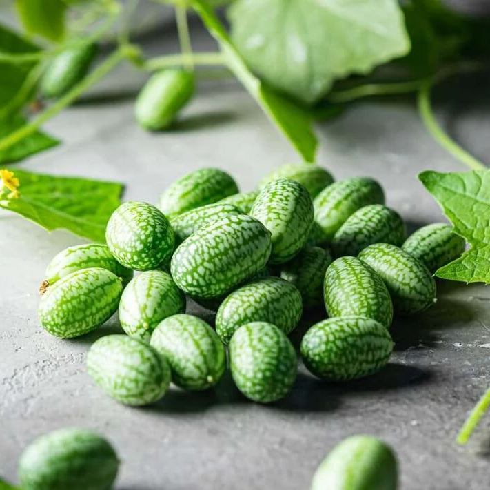 Mouse Melon Seeds