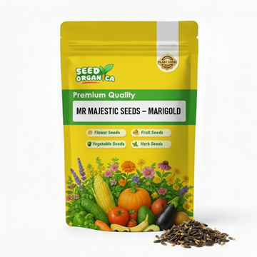 Mr Majestic Seeds – Marigold