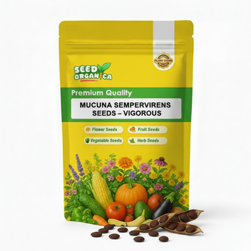 Mucuna Sempervirens Seeds – Vigorous