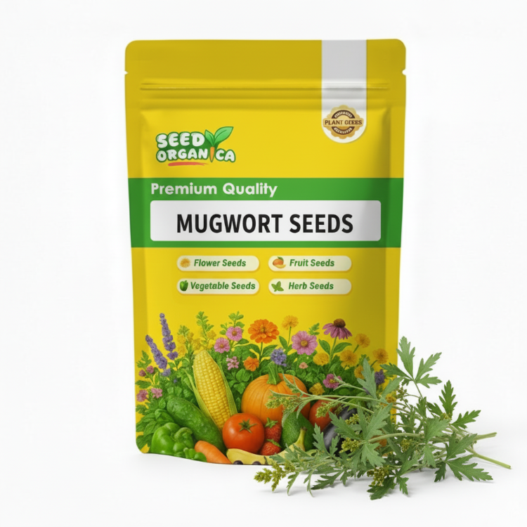 Mugwort Seeds