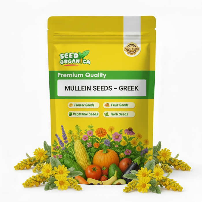 Mullein Seeds – Greek