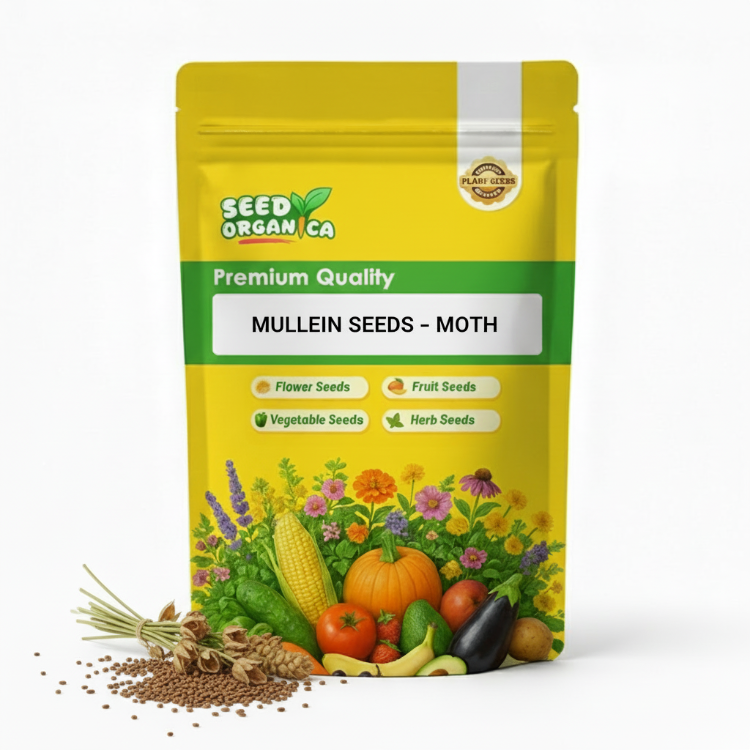 Mullein Seeds – Moth