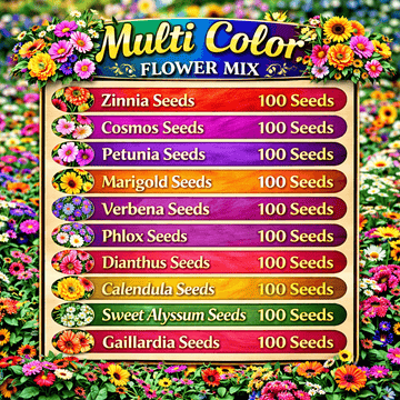 Multi Color Flower Mix Seeds