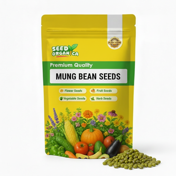Mung Bean Seeds