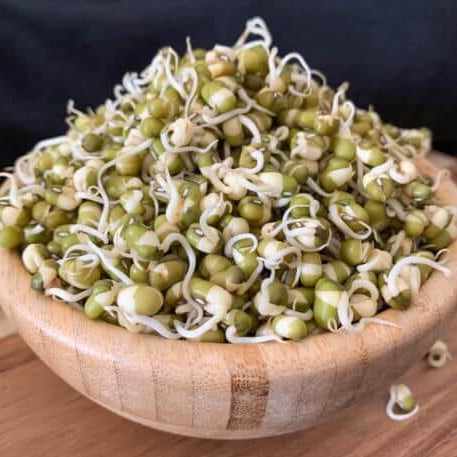 Mung Bean Seeds - Green