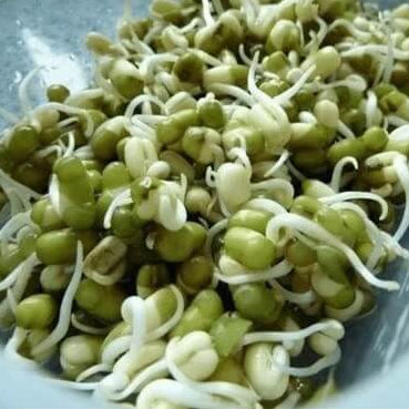 Mung Bean Seeds - Green