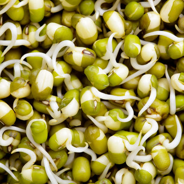 Mung Bean Seeds - Green