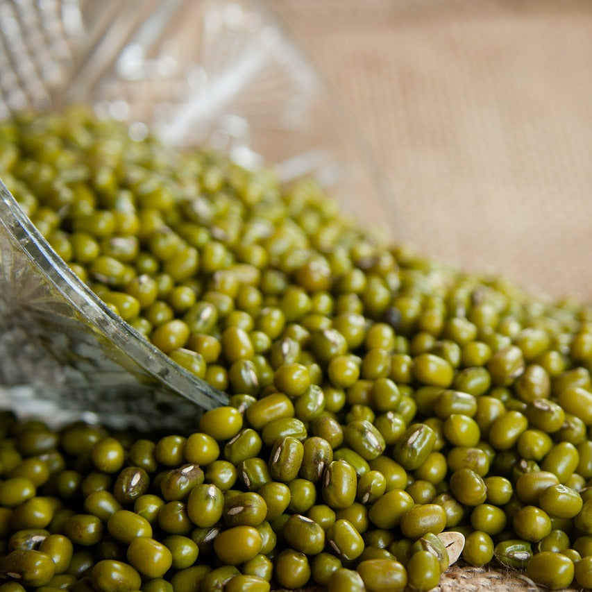 Mung Bean Seeds 