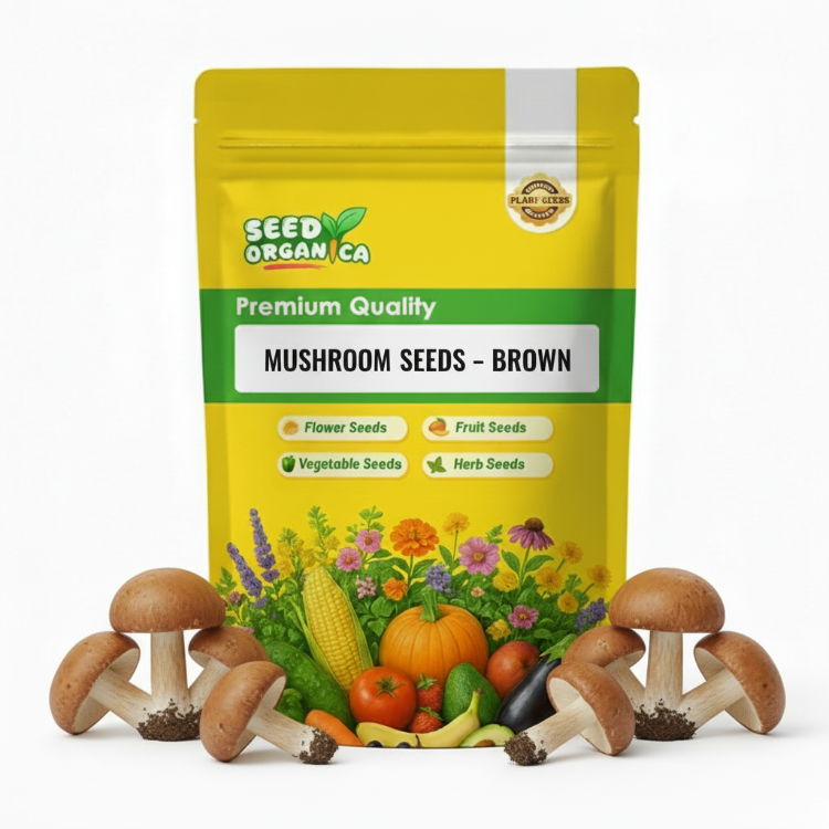 Mushroom Seeds – Brown