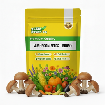 Mushroom Seeds – Brown