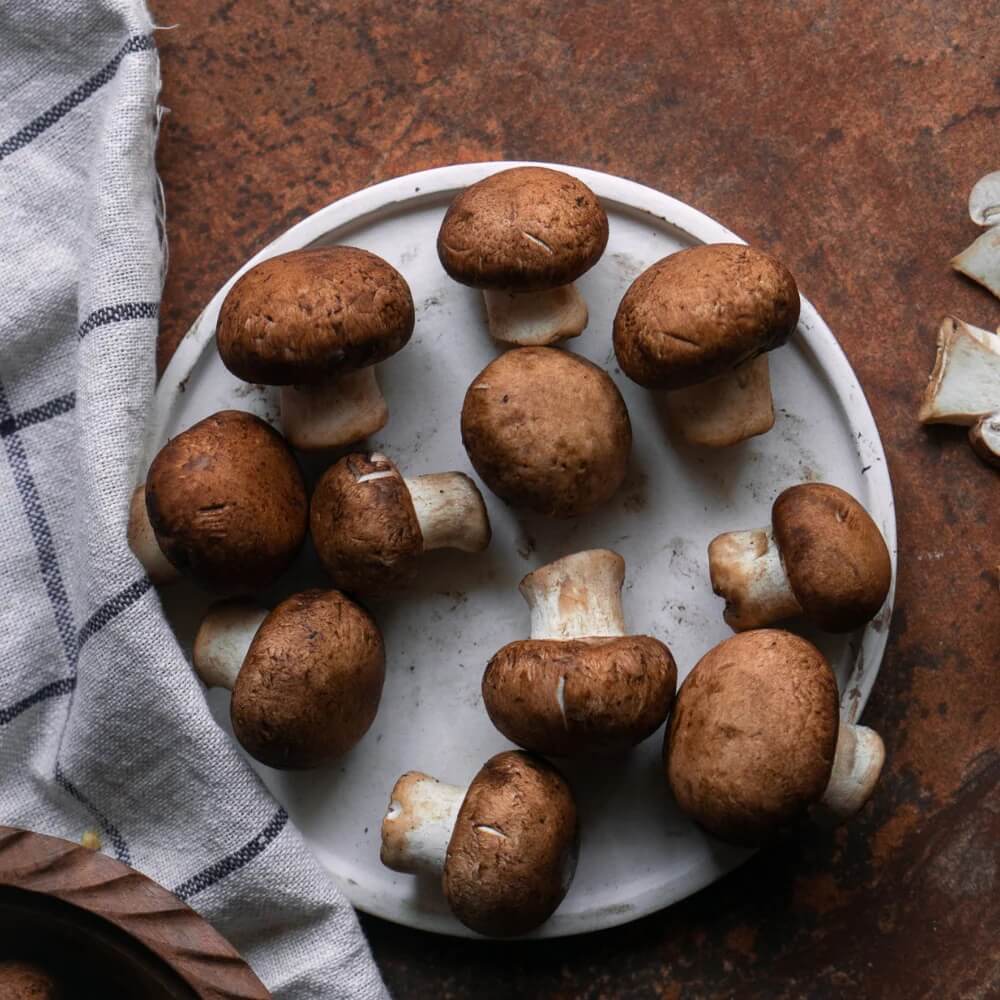 Mushroom Seeds – Cremini