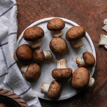 Mushroom Seeds – Cremini