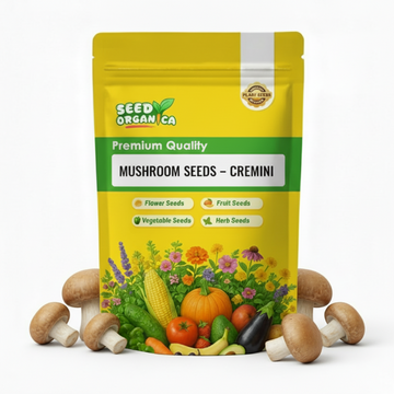 Mushroom Seeds – Cremini