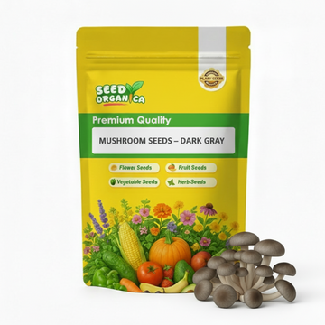 Mushroom Seeds – Dark Gray
