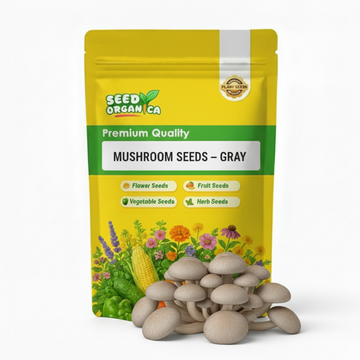 Mushroom Seeds – Gray
