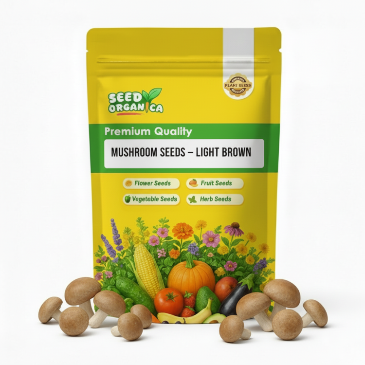 Mushroom Seeds – Light Brown