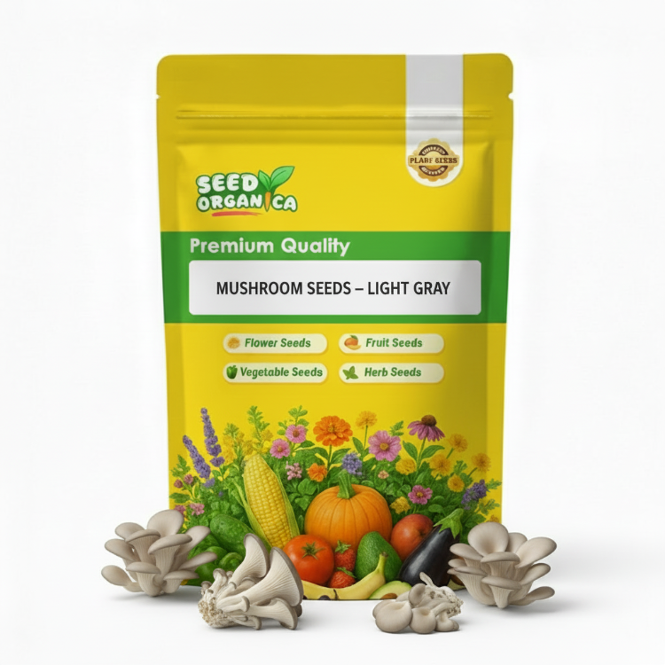 Mushroom Seeds – Light Gray