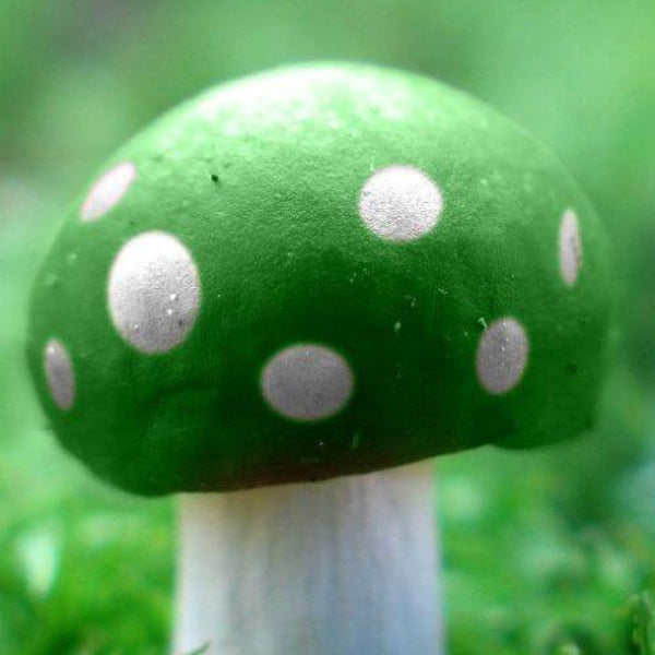 Mushroom Seeds – Light Green