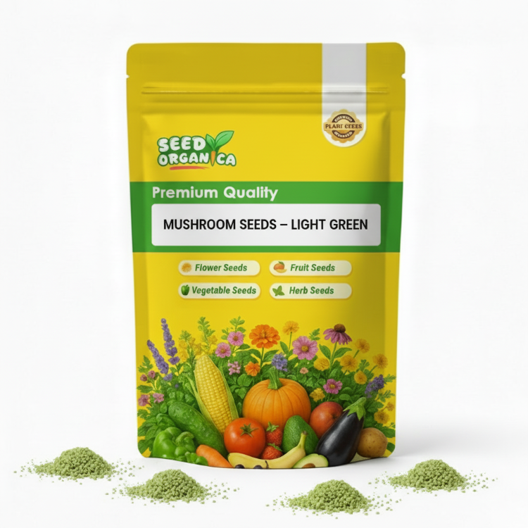 Mushroom Seeds – Light Green