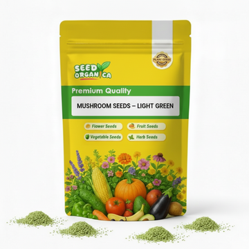 Mushroom Seeds – Light Green
