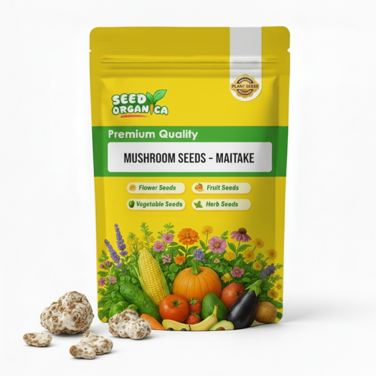 Mushroom Seeds – Maitake