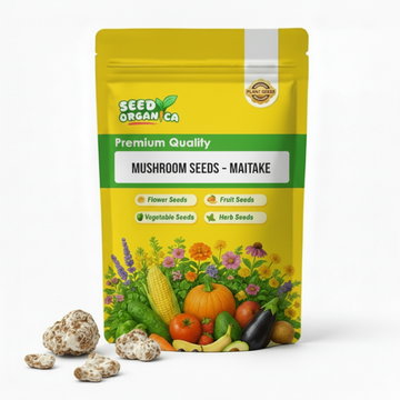 Mushroom Seeds – Maitake