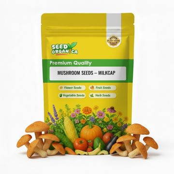 Mushroom Seeds – Milkcap