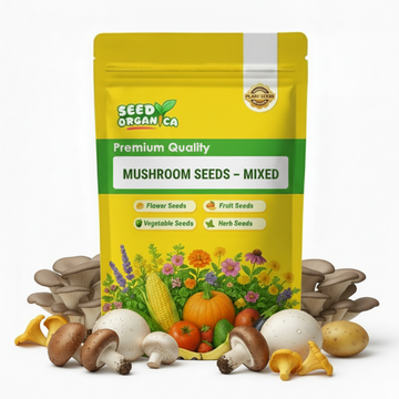 Mushroom Seeds – Mixed