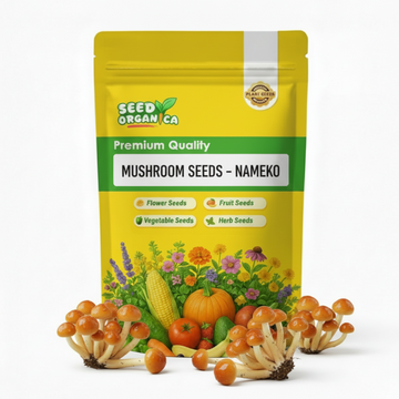 Mushroom Seeds – Nameko