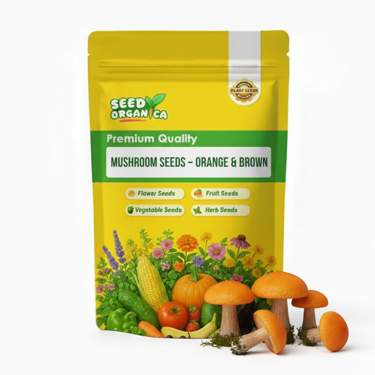 Mushroom Seeds – Orange & Brown
