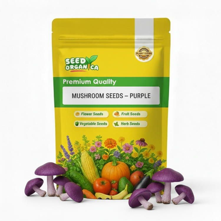 Mushroom Seeds – Purple