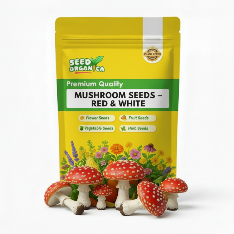 Mushroom Seeds – Red & White