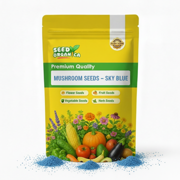 Mushroom Seeds – Sky Blue