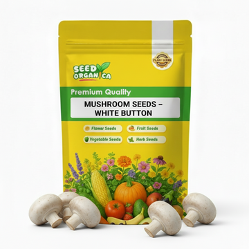 Mushroom Seeds – White Button